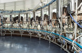 Duitse zuivelcoöperatie Hochwald boekt recordomzet in 2025