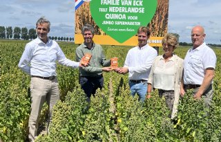 Jumbo verkoopt alleen nog biologische quinoa van Nederlandse bodem