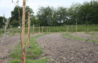 Dierenbescherming nomineert twaalf initiatieven voor Deltaplan Veehouderij Awards 2026