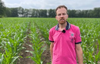 ‘De mais lag plat, maar de schade is gelukkig beperkt’
