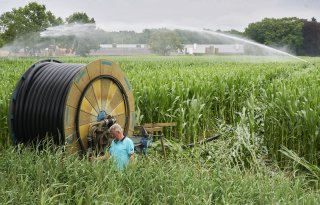 Eerste maistelers zetten beregening aan