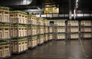Royal FloraHolland ziet volume dalen maar prijzen stijgen