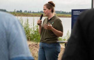 Kan inundatie in de Veenkoloniën aardappelmoeheid de kop indrukken?