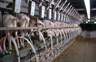 Royal A-ware neemt belang in Amalthea