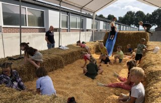 Boert Bewust en The Pig Story slaan handen ineen