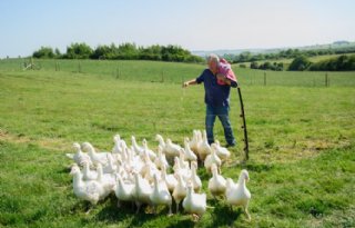 Britse mediaruzie na opmerkingen natuurwetenschapper over Clarkson’s Farm
