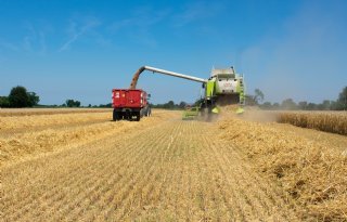 Tarweprijs plust met 10 euro per ton