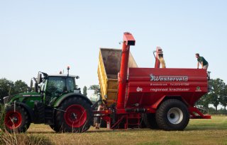 Gerst van eigen land vlot de slurf in voor vleesvee