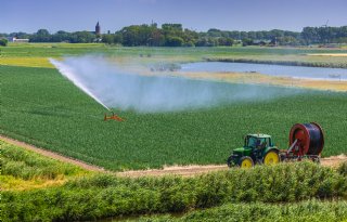 Alle hens aan dek door kurkdroge zomer