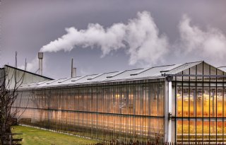Tientallen tuinders benutten restwarmte van nieuw datacenter
