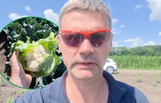 Oekraïne-vlogger Kees Huizinga: ‘Rondje langs gewassen: bloemkolen zijn super!’