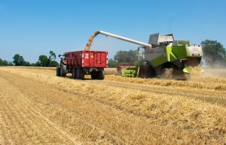 Europese graanoogst krijgt flinke knauw
