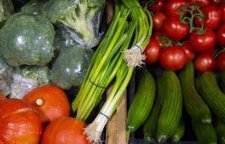 Tuinbouw is strategische topsector voor Nederlandse economie
