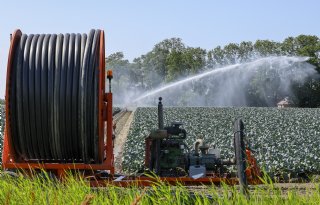 Ook in vrijwel heel Zeeland geldt nu onttrekkingsverbod voor oppervlaktewater