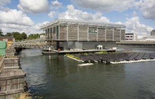 Einde Floating Farm in zicht: koeien vertrekken binnen enkele weken