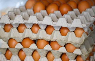Geleidelijke daling eierprijzen zet door