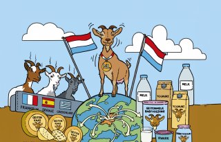 Internationale vraag naar geitenzuivel blijft groot: Nederland in Europese top
