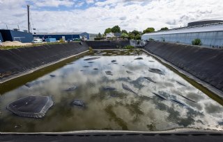 Geen uitzondering voor tuinders, Delfland zet handhavers in