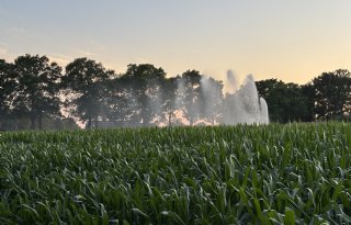Waterschap Amstel, Gooi en Vecht stelt overdag beregeningsverbod in