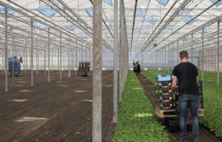 Radijsteler stopt tijdelijk door droogte en wateronttrekkingsverbod