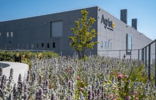 Agristo investeert 350 miljoen euro in Franse aardappelverwerking