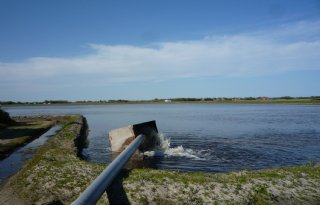 Verbod op inundatie landbouwgrond IJsselmeergebied ondanks regen