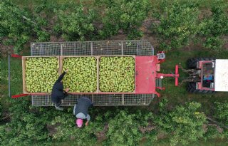 Europa stevent af op een van de kleinste appeloogsten in tien jaar tijd