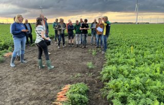 Bladbehandelingen houden loof biopeen goed gezond