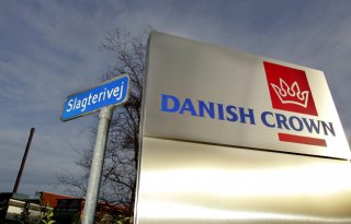Danish Crown wijkt uit naar Duitsland door tekort aan slachtcapaciteit