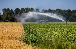 Tijdelijk water voor tuinders Westland, aanscherping rond de Veluwe