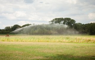 Mondjesmaat weer beregening mogelijk in West-Brabant