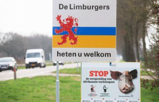Nieuwe brandhaarden van Afrikaanse varkenspest in Europa