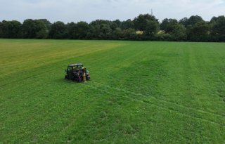 Nmin-metingen moeten boeren meer inzicht geven