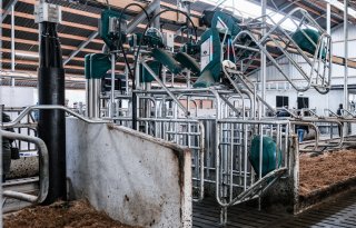 Urine uit koetoilet moet in 2027 als renure beschikbaar komen