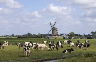 ‘Doorrekening PBL bevestigt noodzaak voor forse verbetering stikstofpakket’