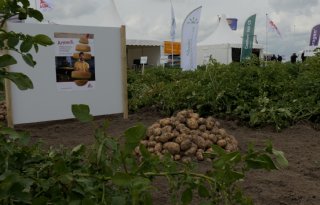 Aardappeldemodag toont nieuwste innovaties en technieken