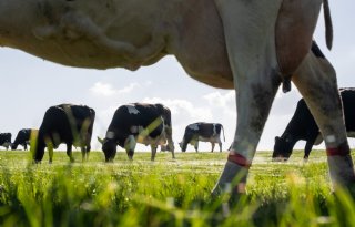 Minderheidscoalitie Drenthe wil omgevingsvisie in ijskast zetten