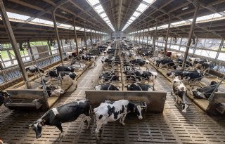 Onderzoekers vinden effecten van Kopros