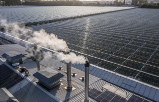 Glastuinbouw dringt aan op uitstel bijmengplicht groen gas