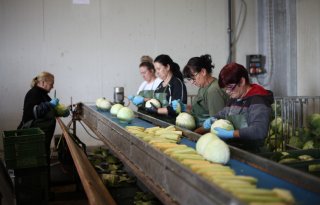 Inhouden huur woonruimte op loon arbeidsmigrant straks niet meer toegestaan