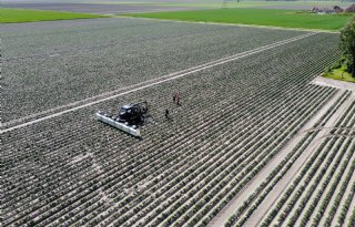 Selectierobot groeit naar menselijk niveau