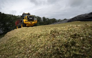 Gevaarlijke gassen vrijgekomen uit kuil in Schaijk
