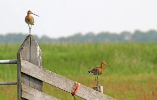 Grootschalige BAM-pilot van start met 4,5 miljoen euro