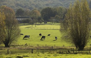‘Jonge boeren moeten reële keuze krijgen’