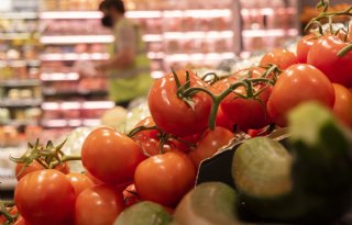 Supermarkten te machtig: Brusselse steun helpt groente- en fruittelers onvoldoende