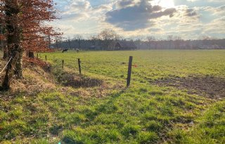 Actief beleid nodig om natuurbodem robuuster te maken