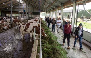 Agrariërs leren van elkaar tijdens Loeren bij de Boeren: ‘Je eigen kop volgen’
