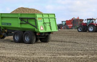 Aardappelnotering houdt stand, ondanks groter aanbod