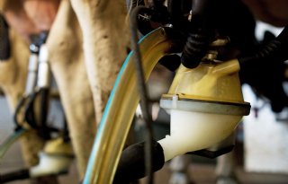 Advertentie vraagt aandacht voor ‘te lage’ melkprijs