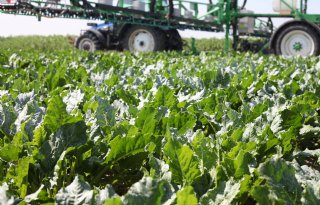 Europees voorstel voor versoepeling gewasbescherming opnieuw vertraagd